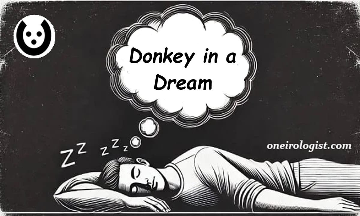 A sleeping man with a dream bubble above him that says: 'Donkey in a Dream'.